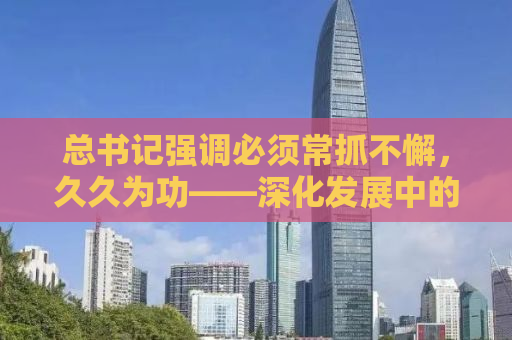 总书记强调必须常抓不懈，久久为功——深化发展中的国家建设之路